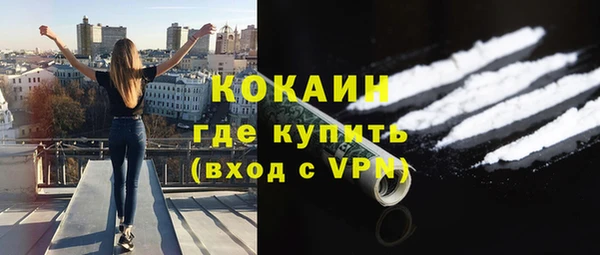 ПСИЛОЦИБИНОВЫЕ ГРИБЫ Верхний Тагил