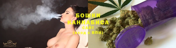 ПСИЛОЦИБИНОВЫЕ ГРИБЫ Верхний Тагил