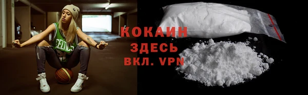 ПСИЛОЦИБИНОВЫЕ ГРИБЫ Верхний Тагил